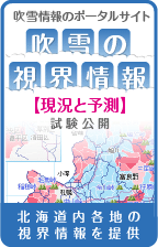 吹雪の視界情報リンク